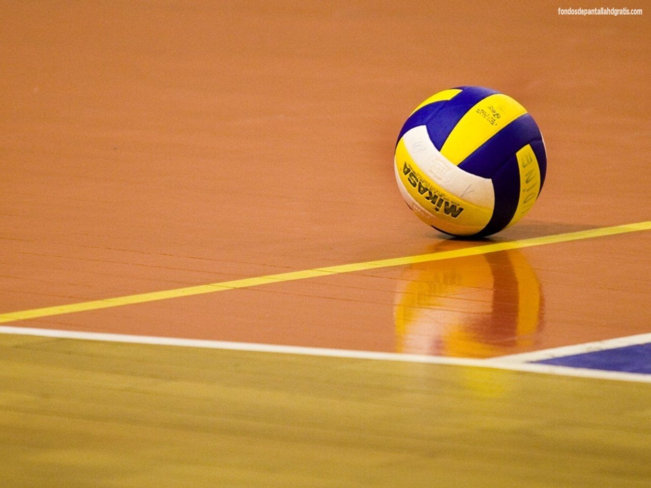 Voleibol